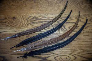 Cookshill Cock Pheasant Tail