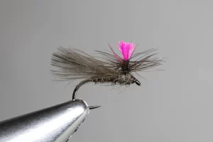 Flies