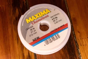 Maxima Chameleon