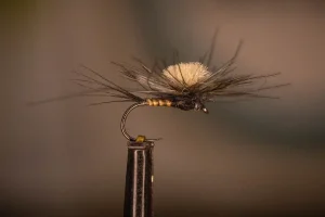 Parachute Mayfly