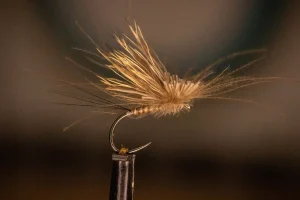 Tiltwing Dry Fly