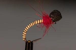 Foam Buzzer