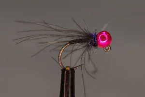 Black and Purple Jig