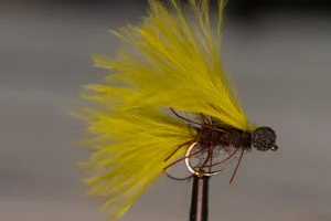 Booby Fly